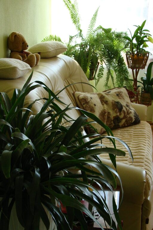 How to Create a Cozy and Inviting Living Room Atmosphere