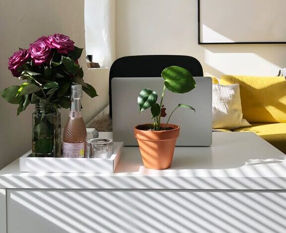 Creating a Productive Home Workspace: Tips for Focus and Comfort